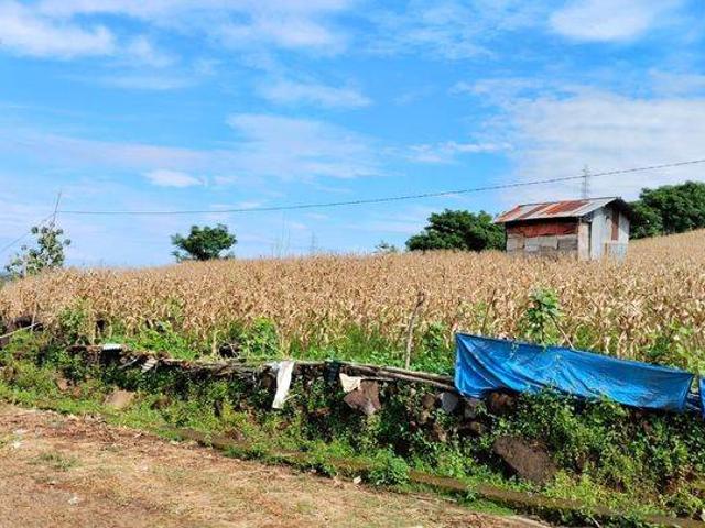 Tanah Dijual Di Maros